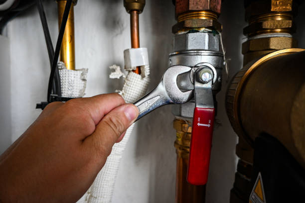 Best Emergency Plumber  in Brownsville, KY